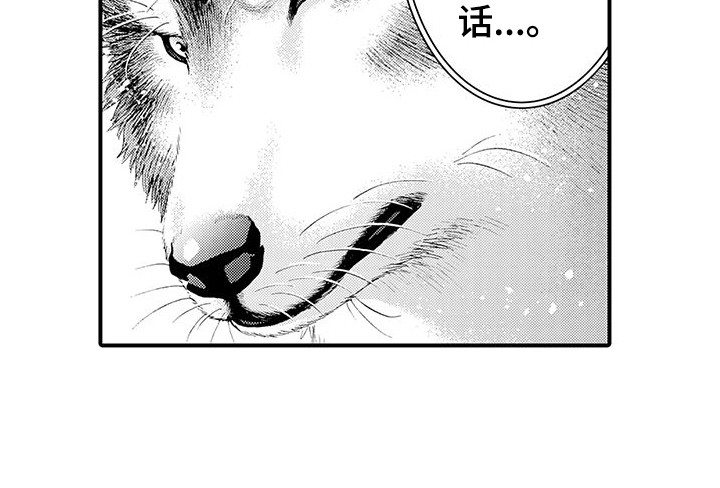第13话12