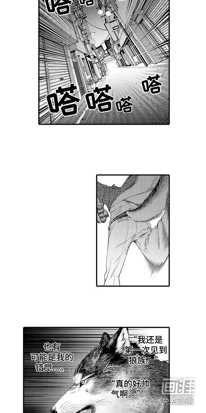第10话9