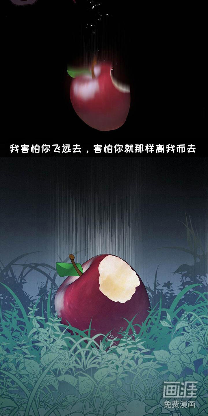 第24话24