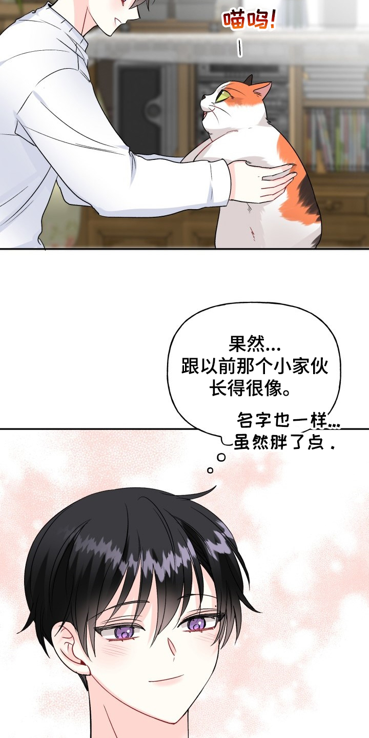 第98话11