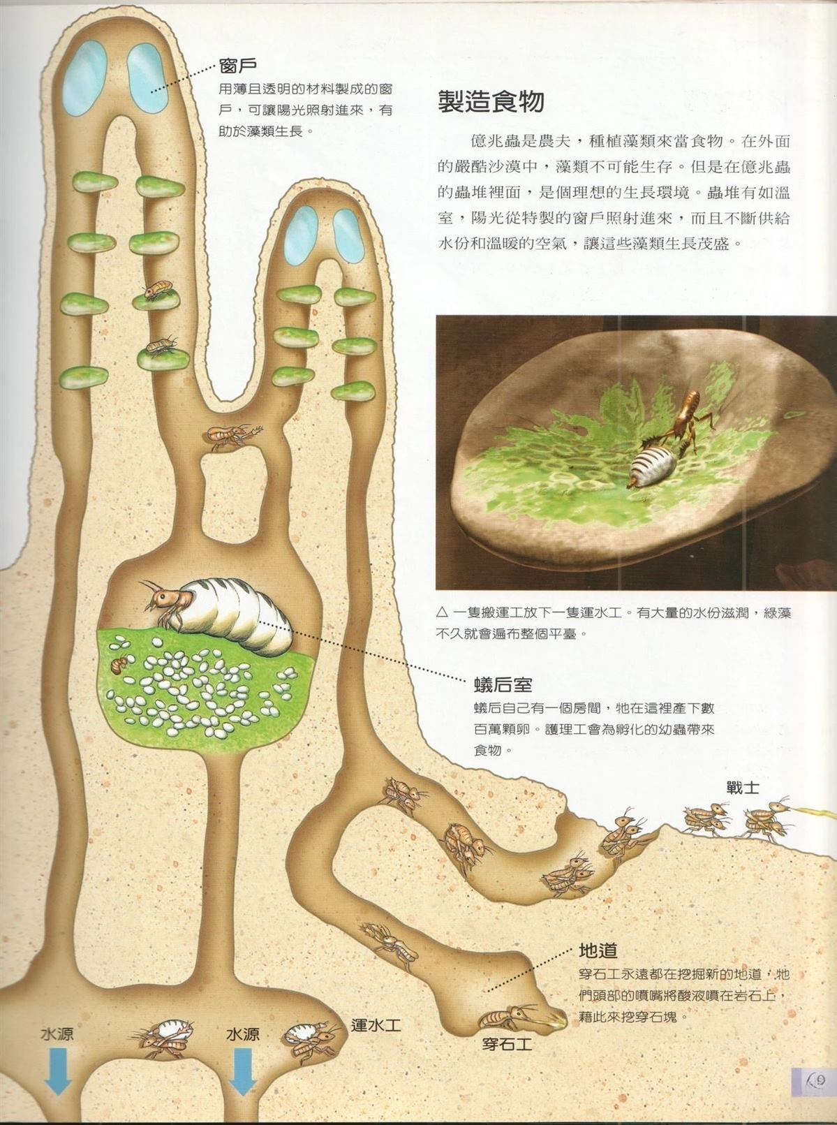 第1卷75