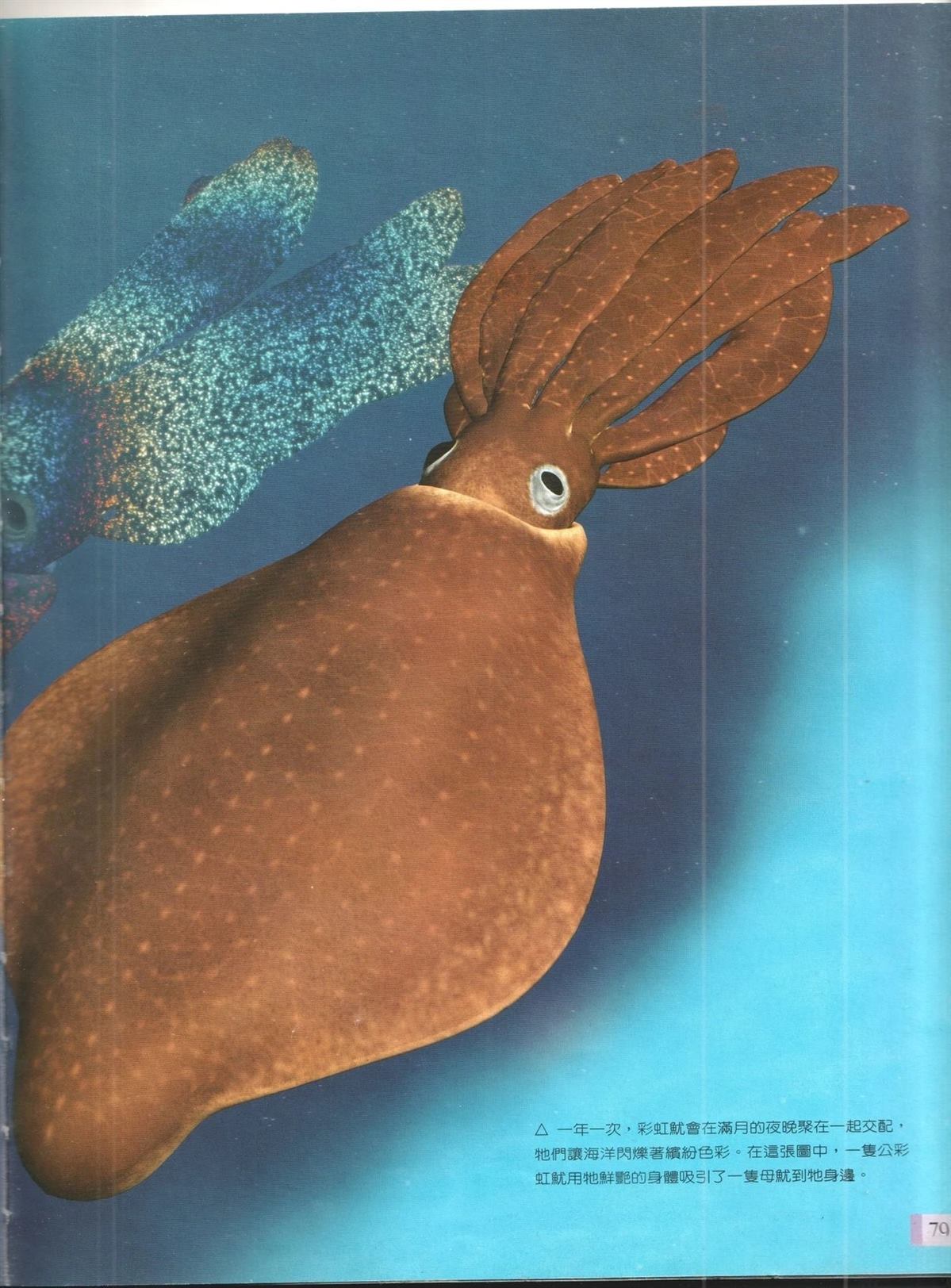 第1卷85