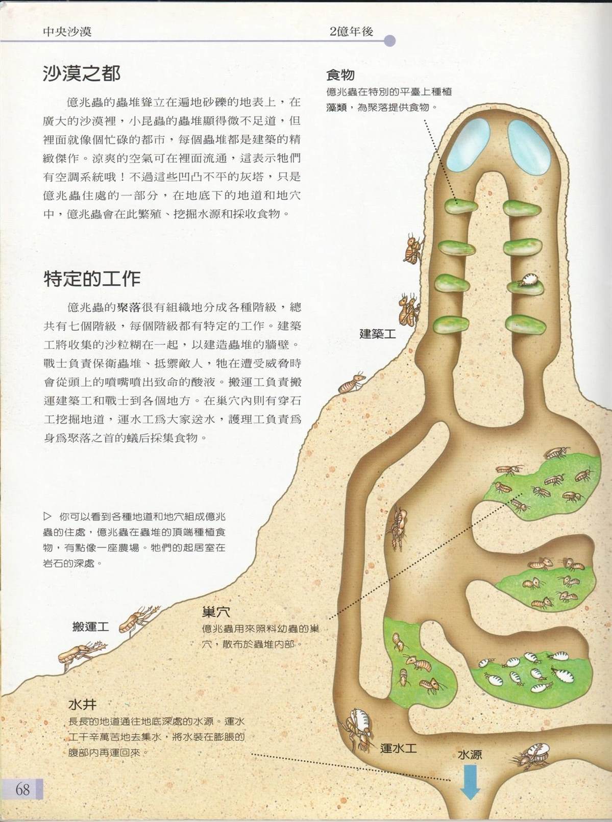 第1卷74