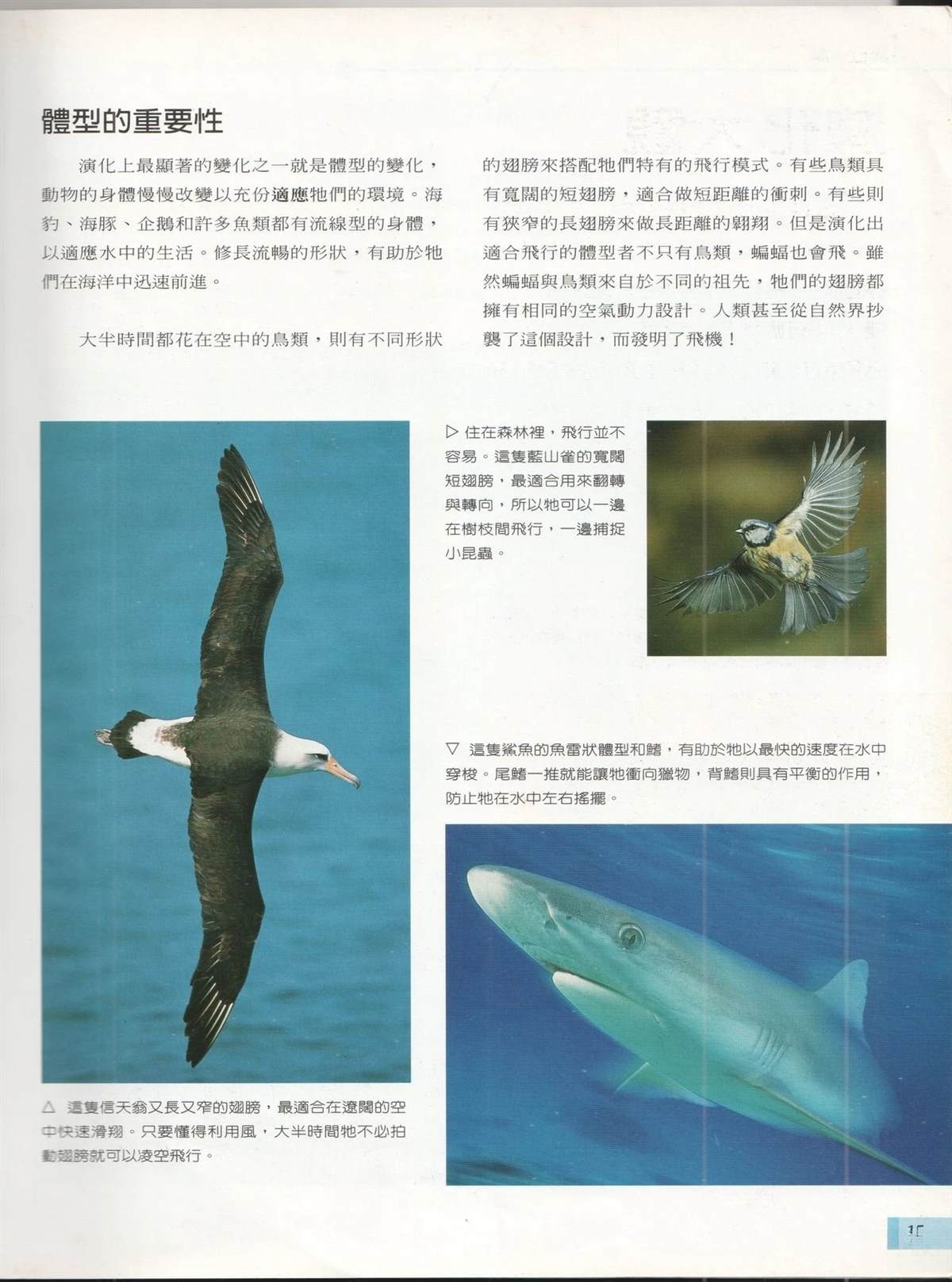 第1卷21