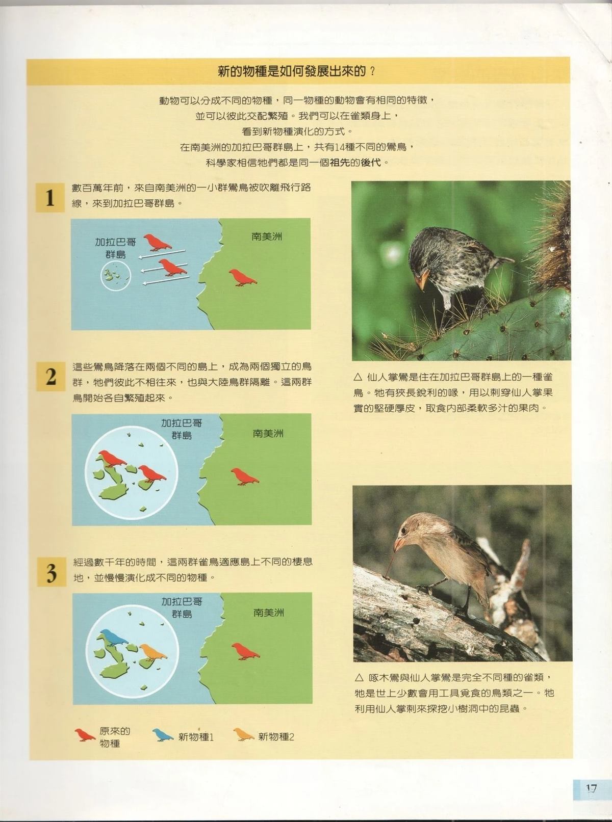 第1卷23