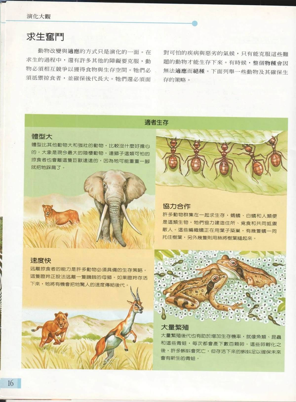第1卷22