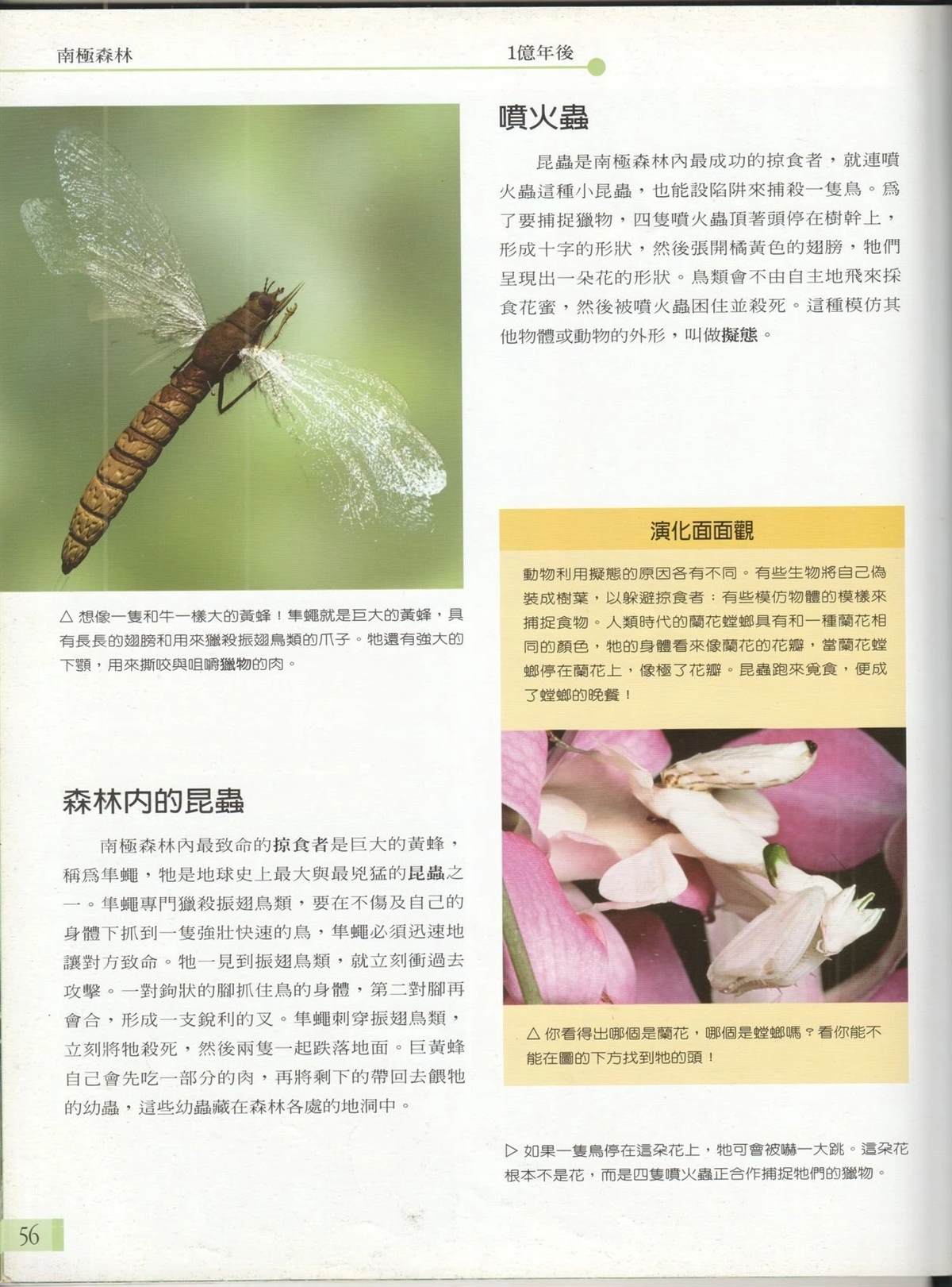 第1卷62