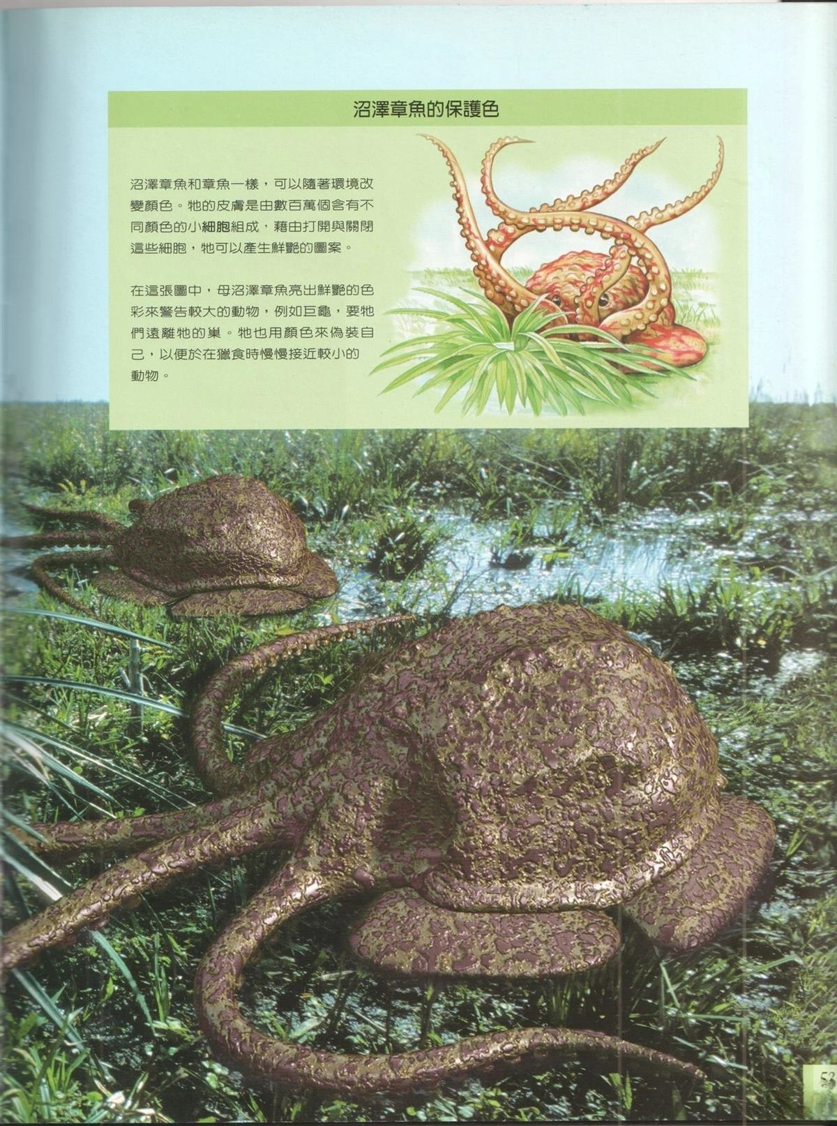 第1卷59