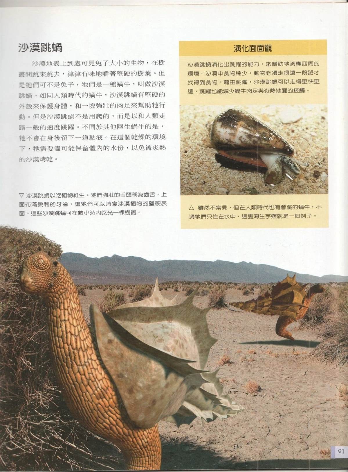 第1卷87