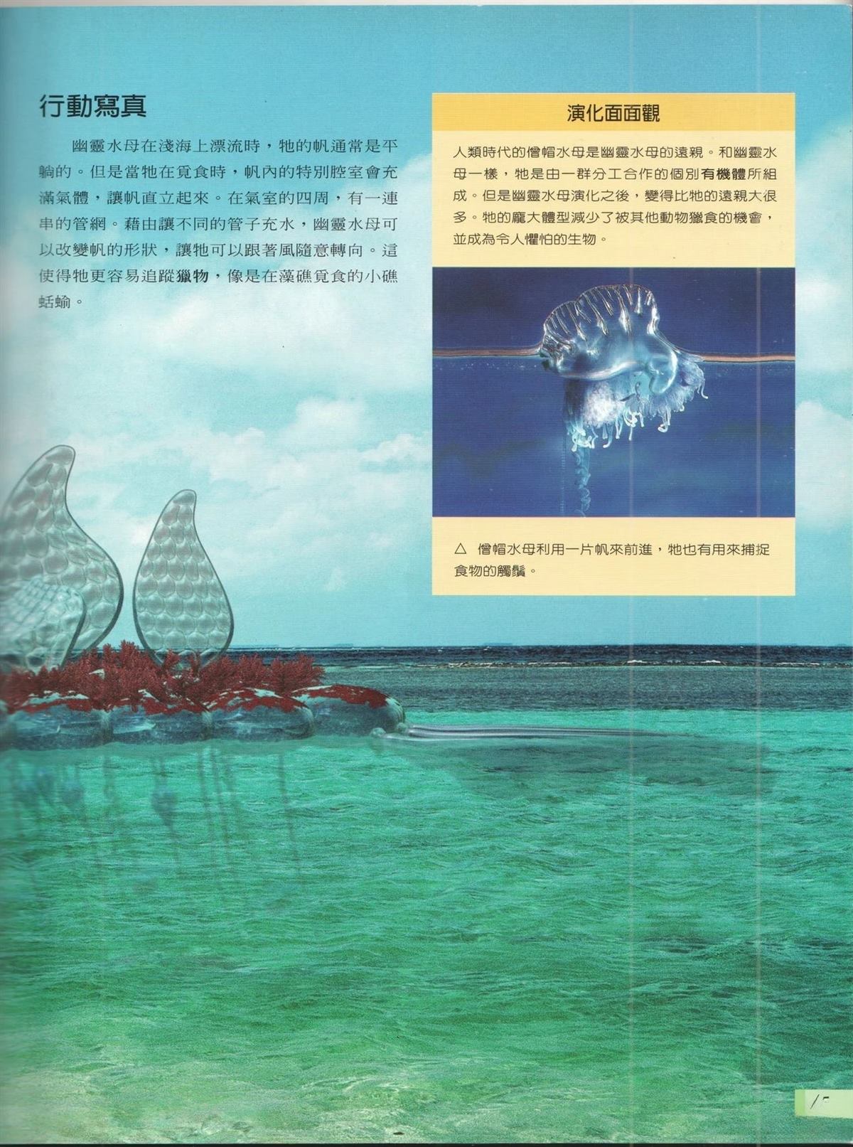 第1卷51