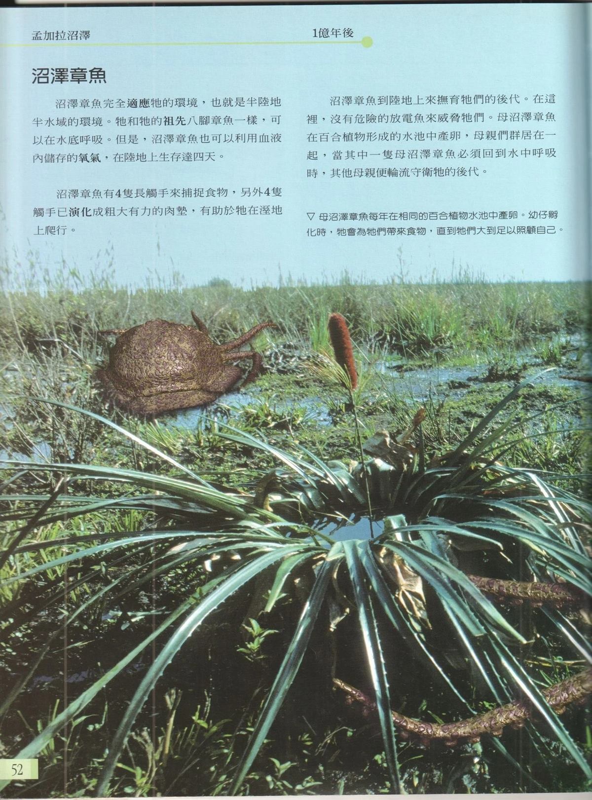 第1卷58