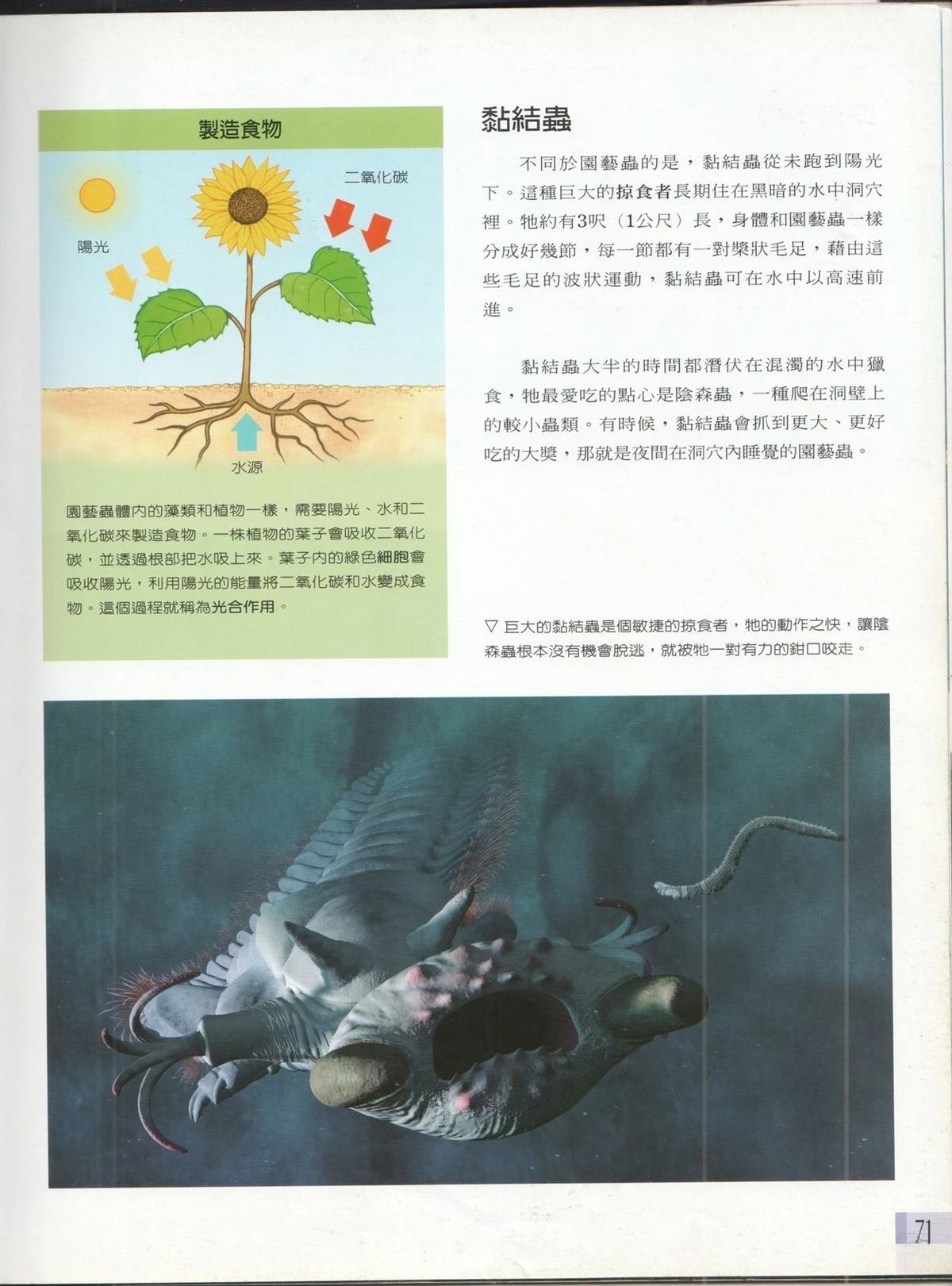 第1卷77