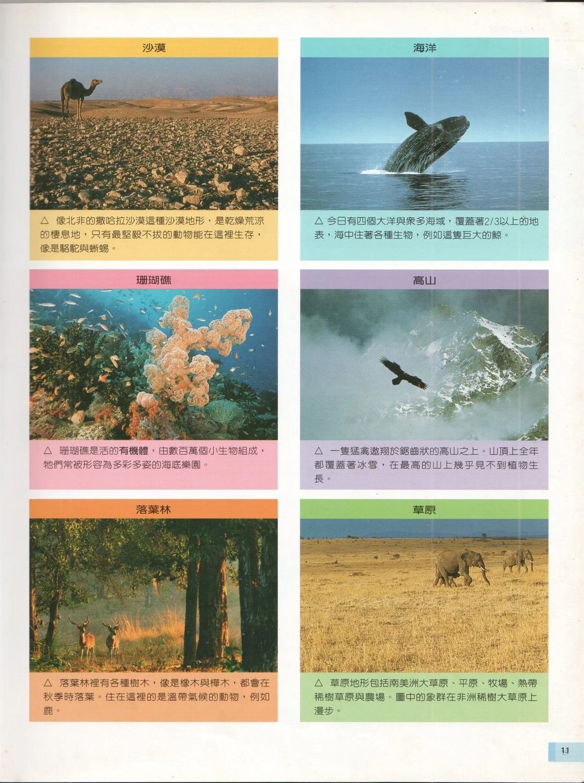 第1卷17