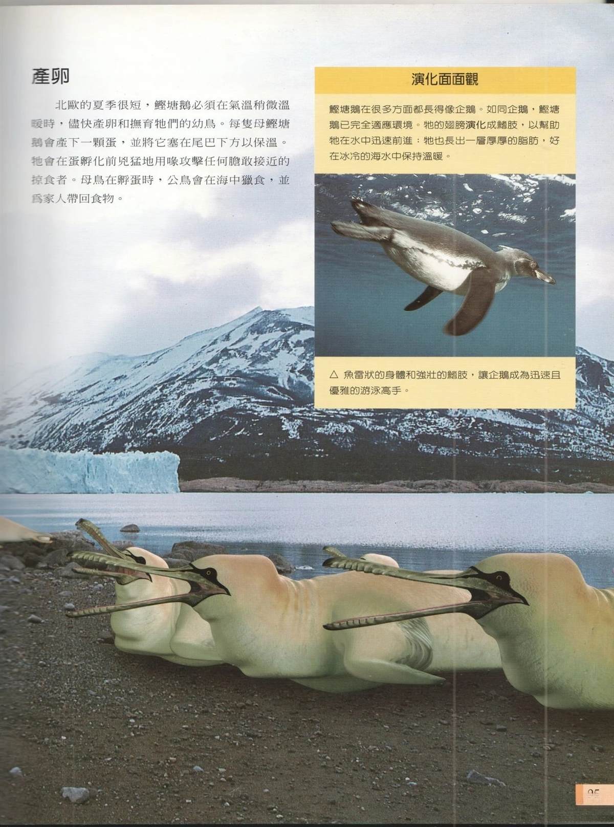 第1卷31