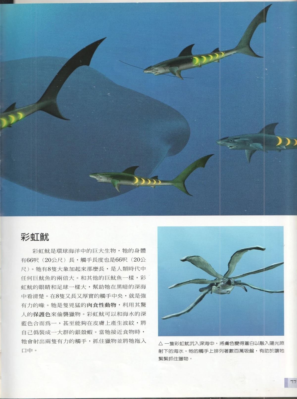 第1卷83