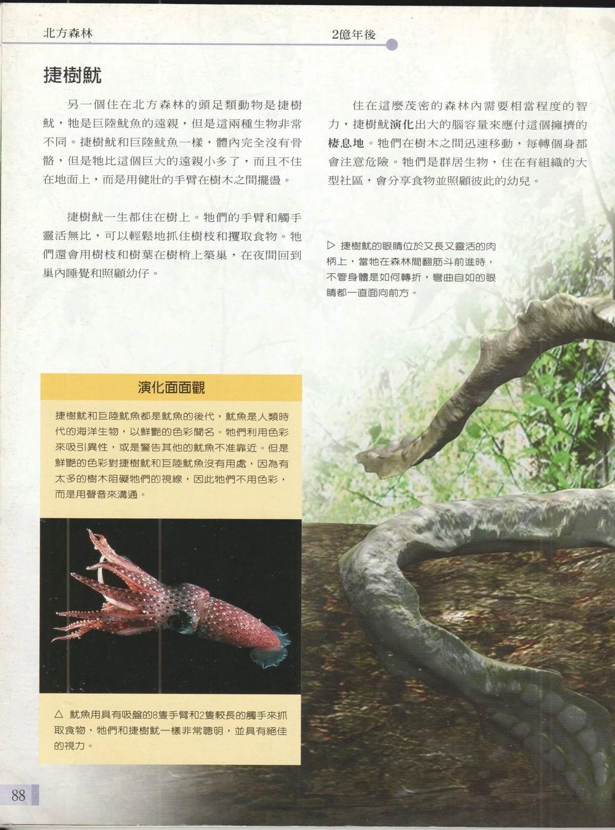 第1卷94