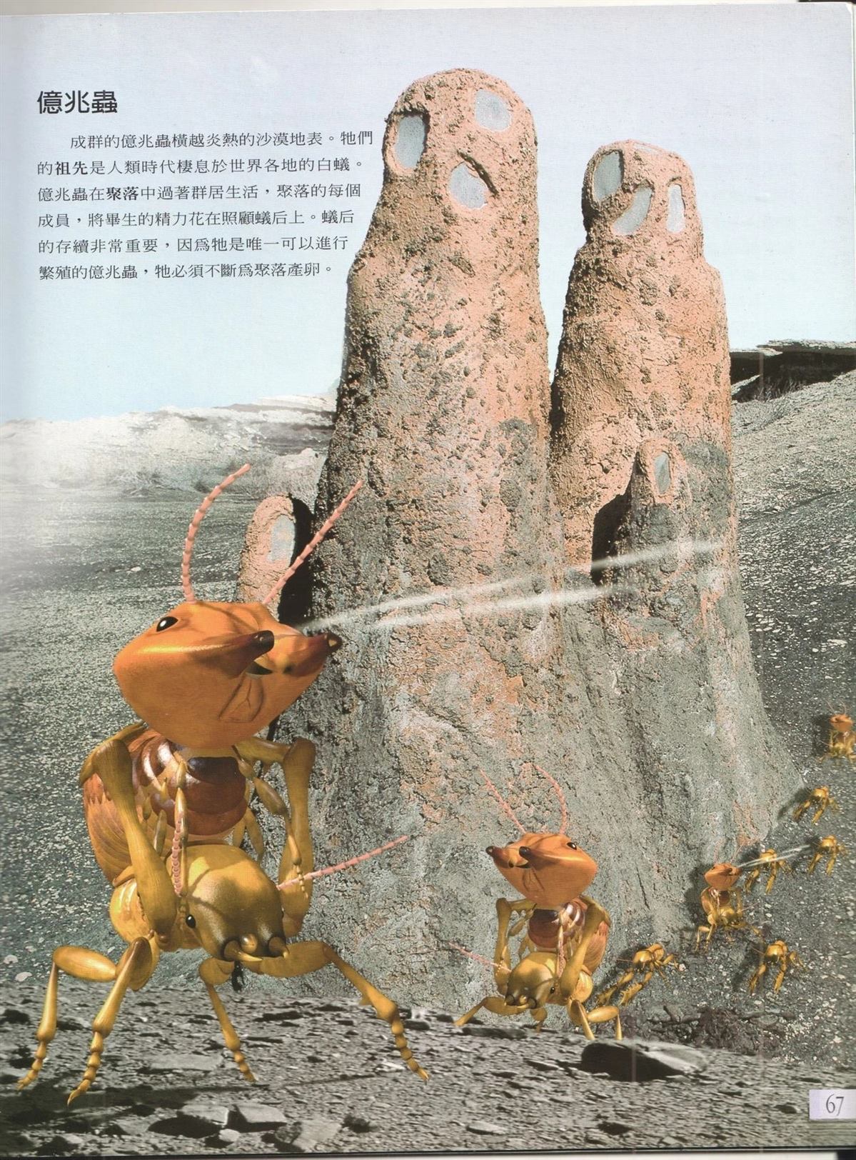 第1卷73