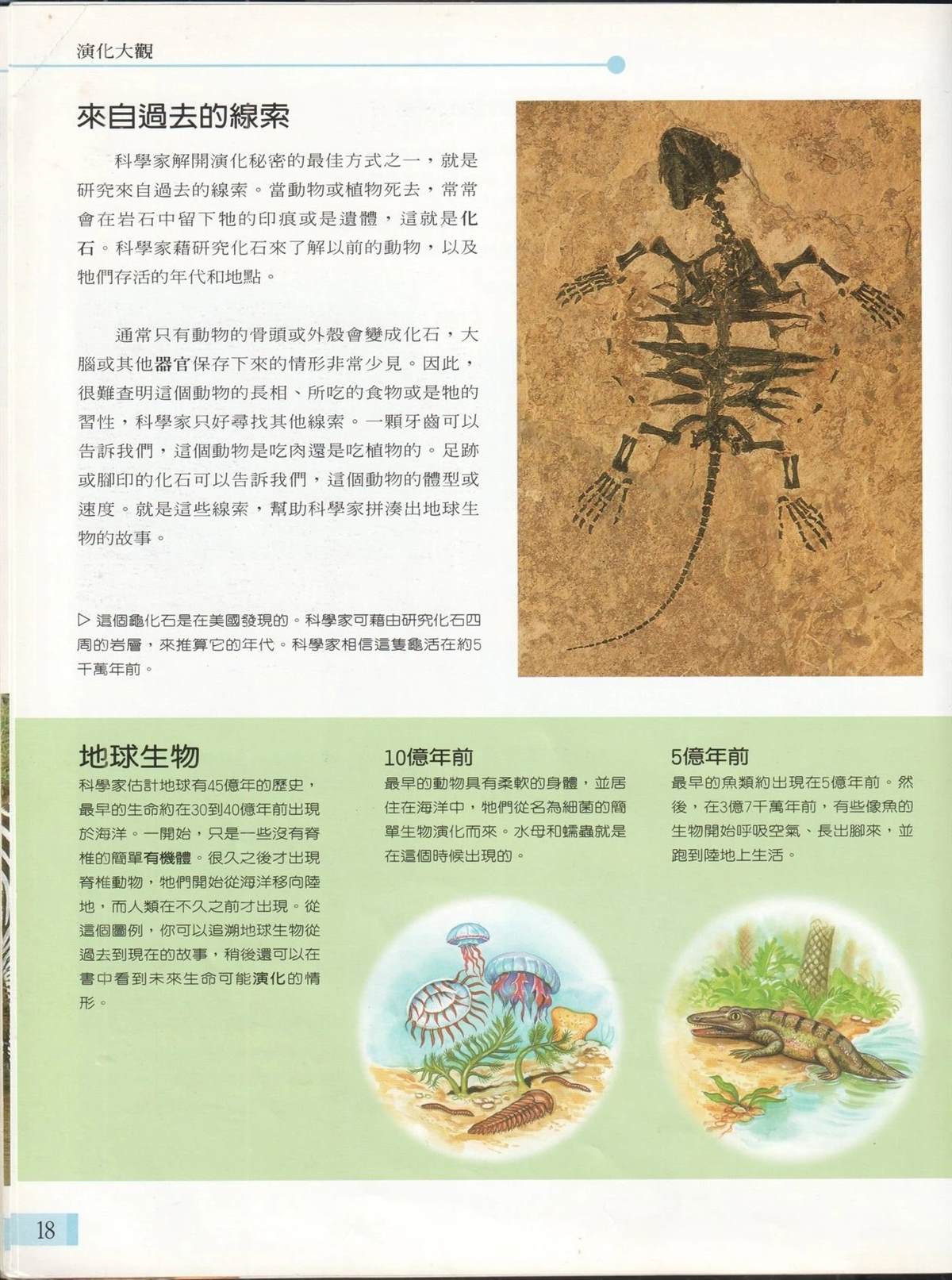 第1卷24