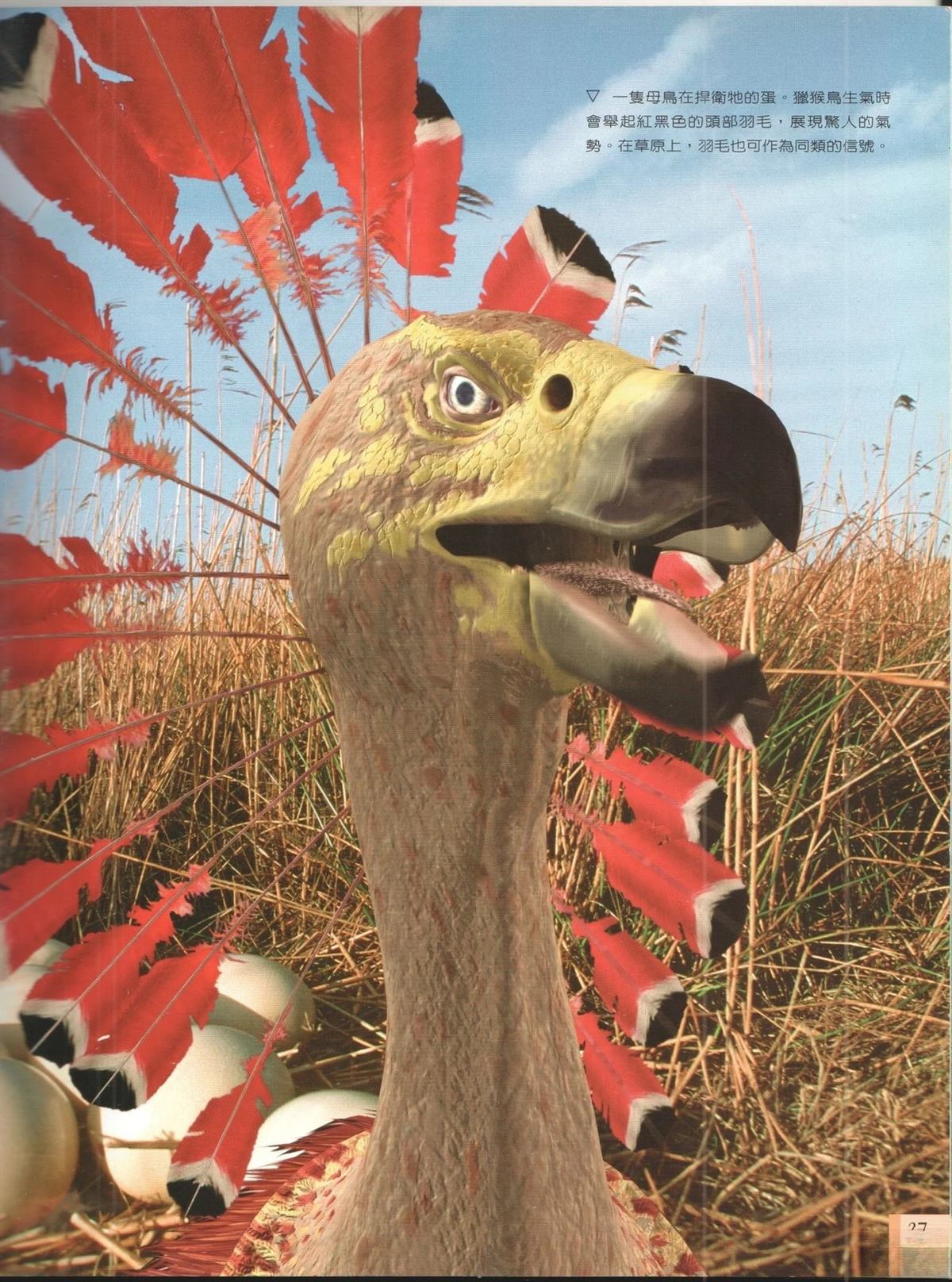 第1卷43