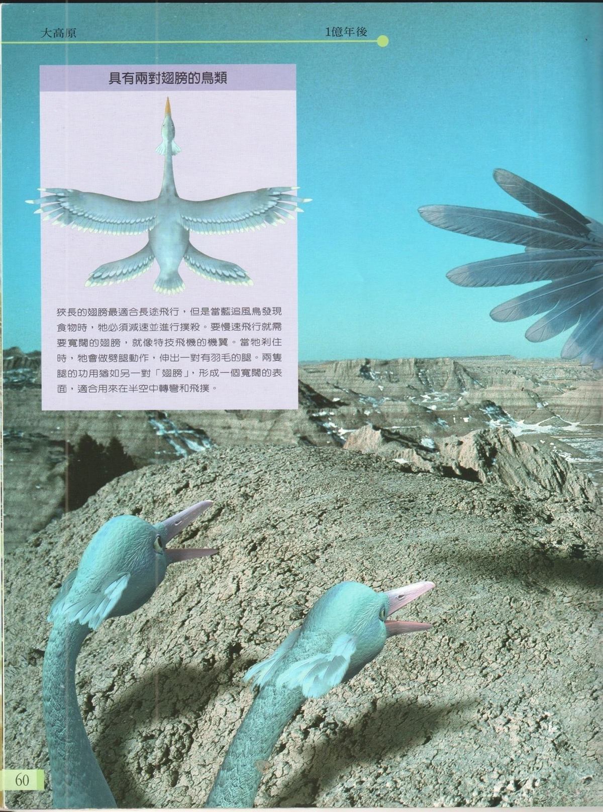 第1卷66