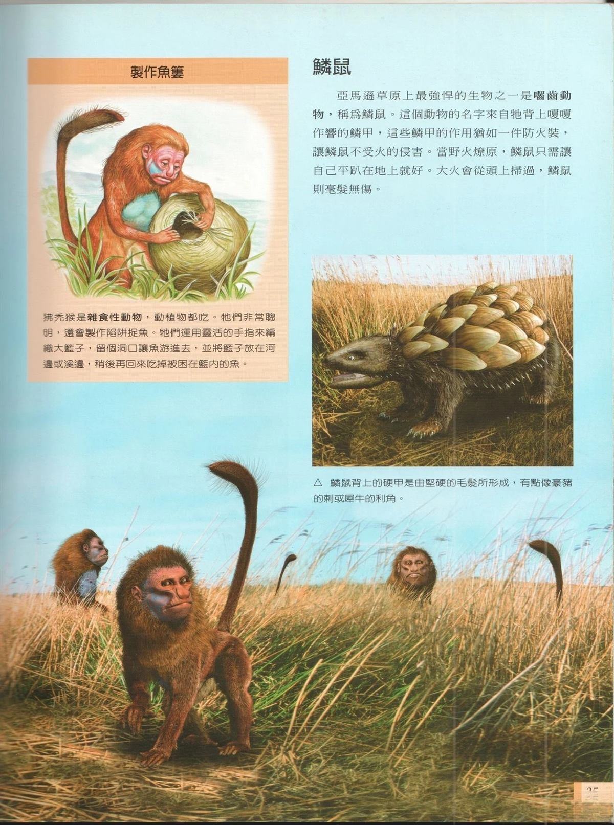 第1卷41