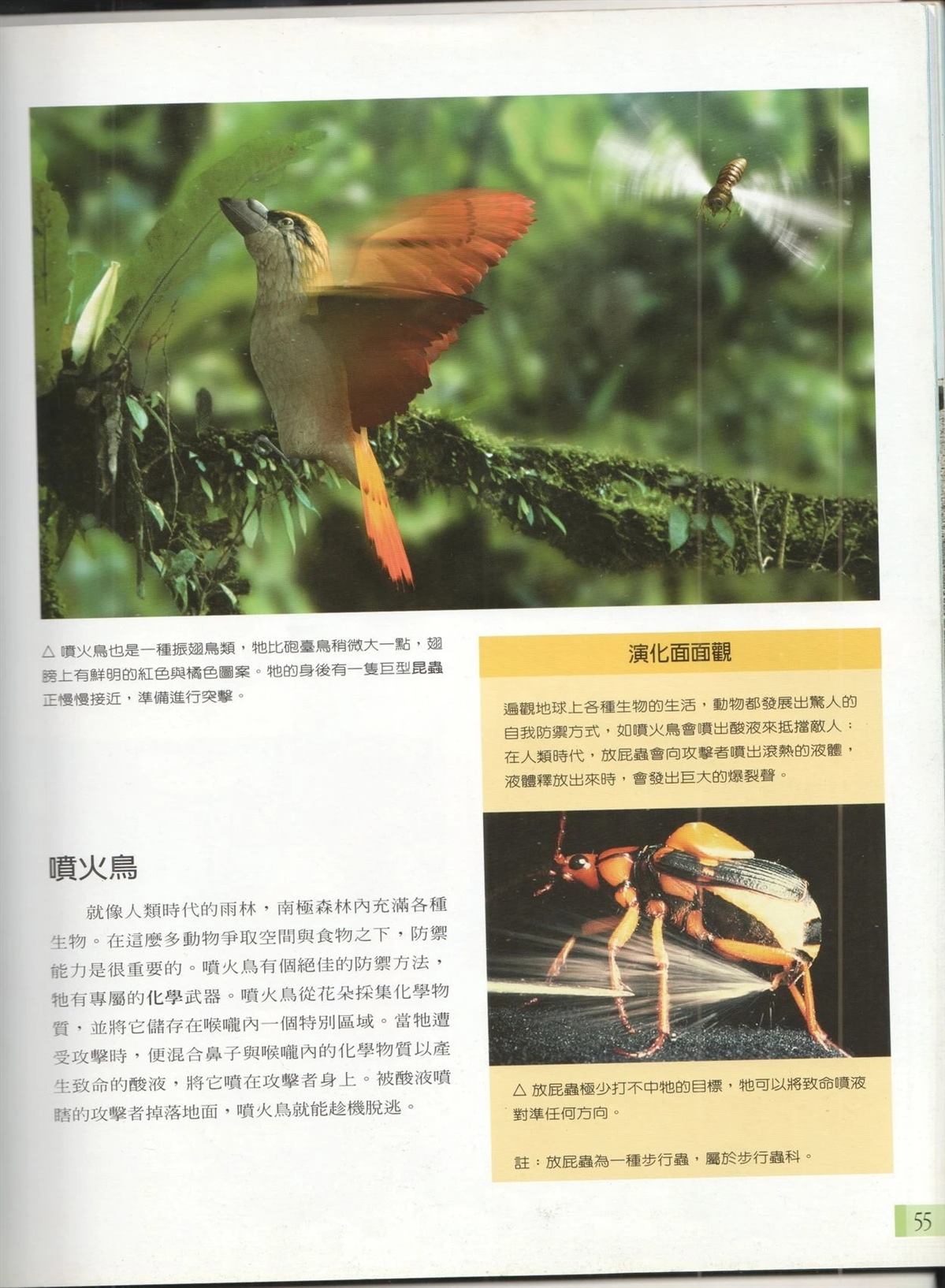 第1卷61