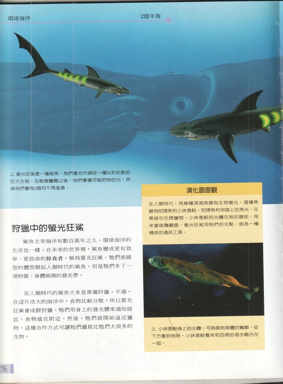 第1卷82