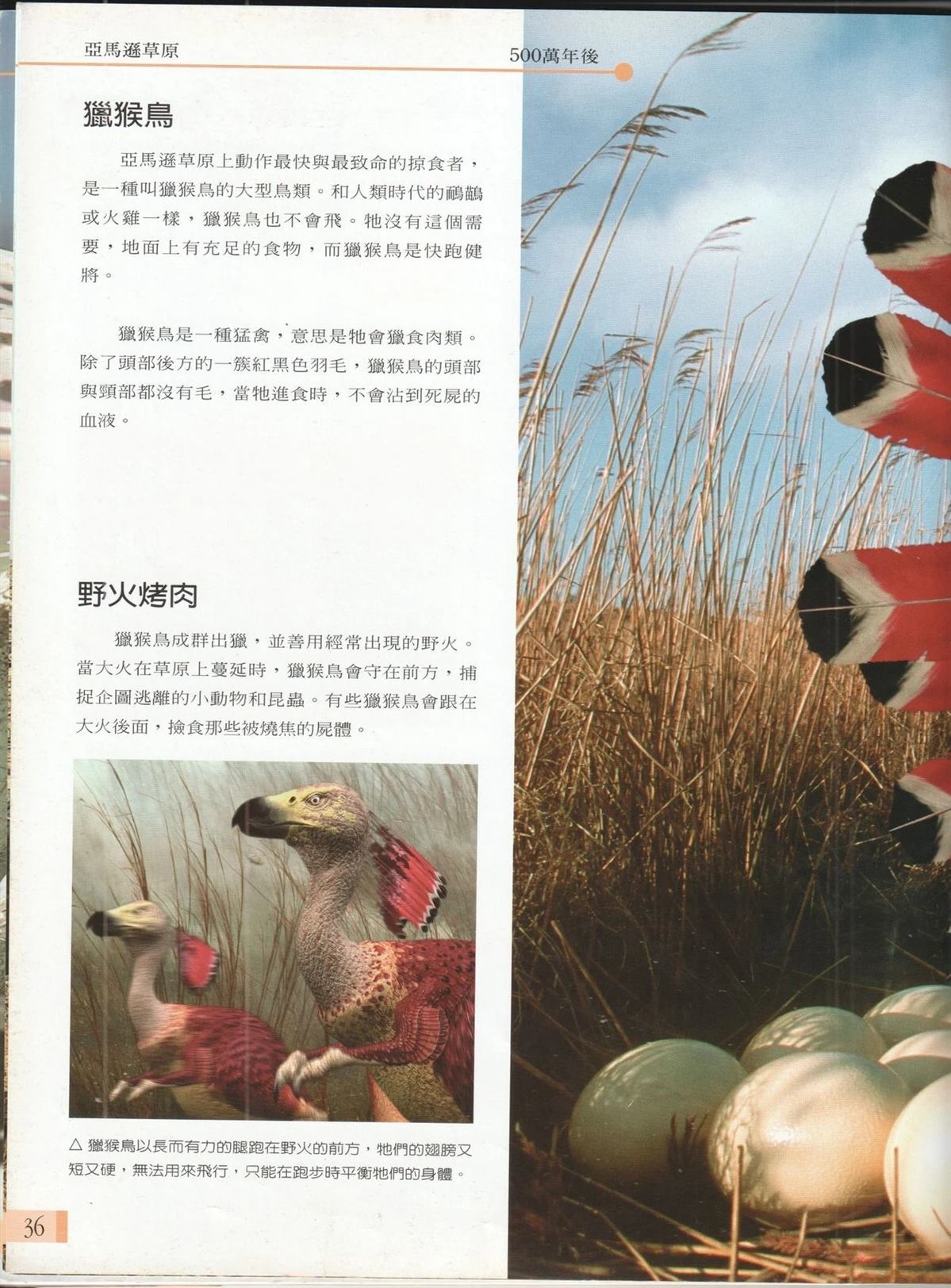 第1卷42