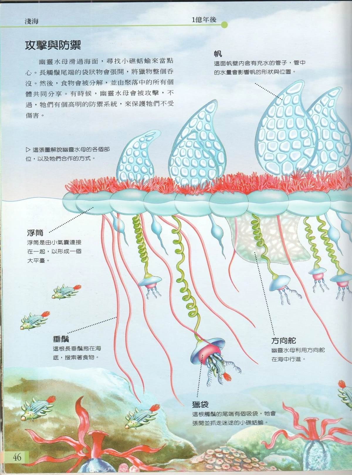第1卷52