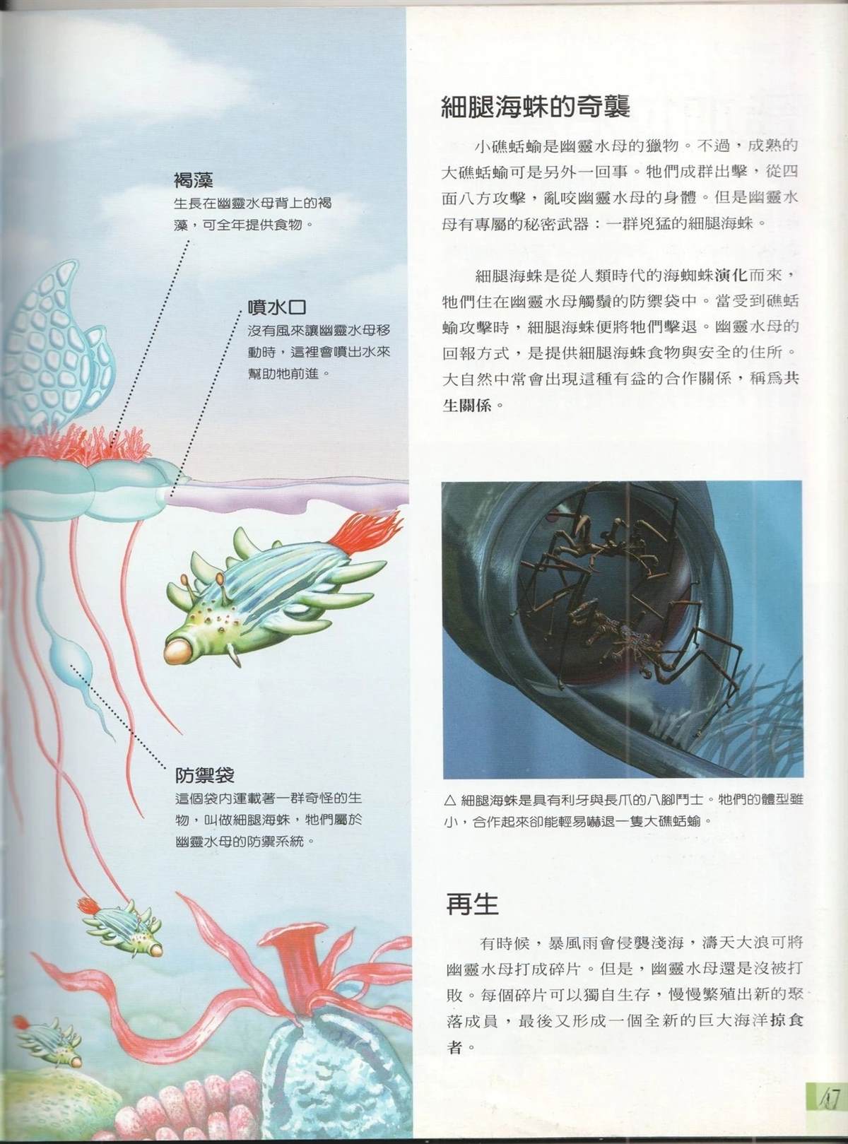 第1卷53