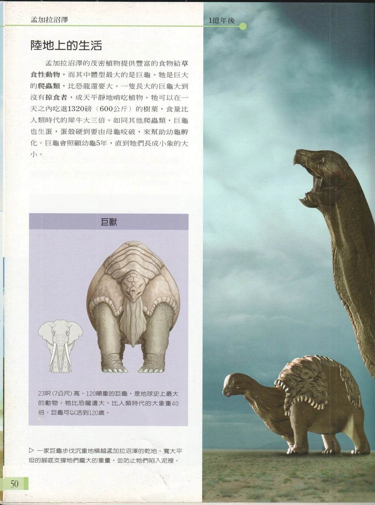 第1卷56