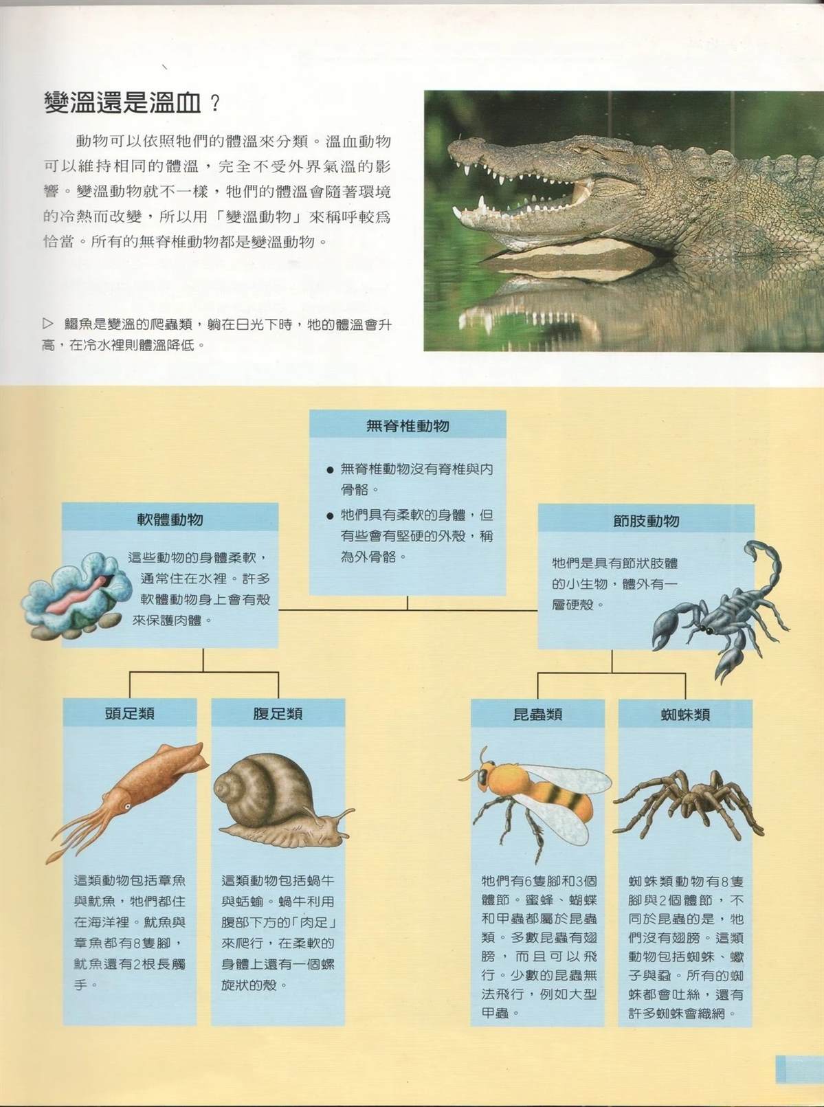 第1卷19