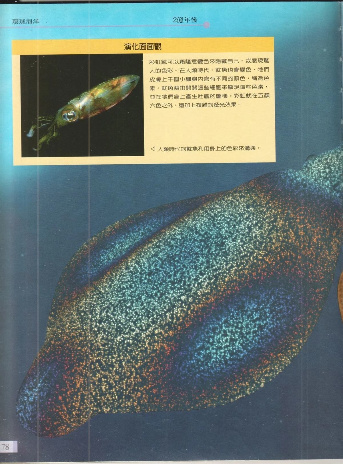 第1卷84