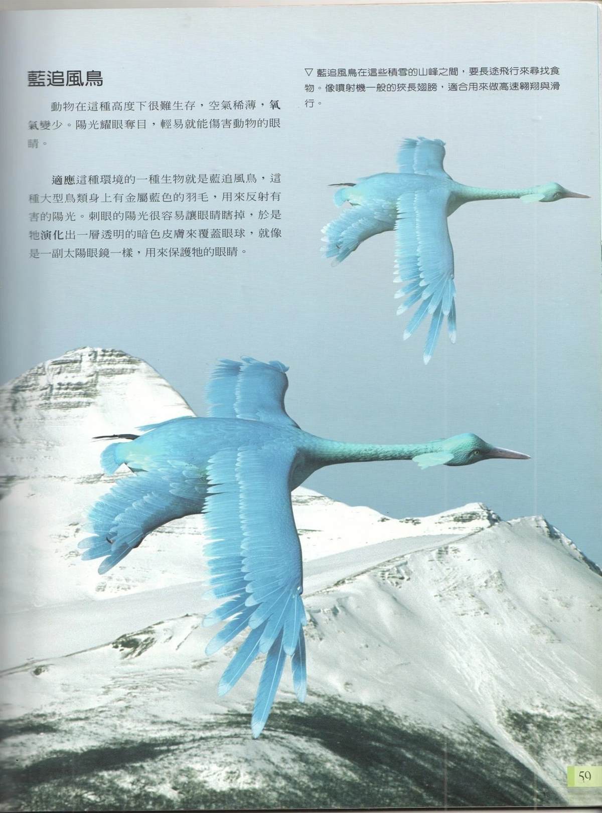 第1卷65