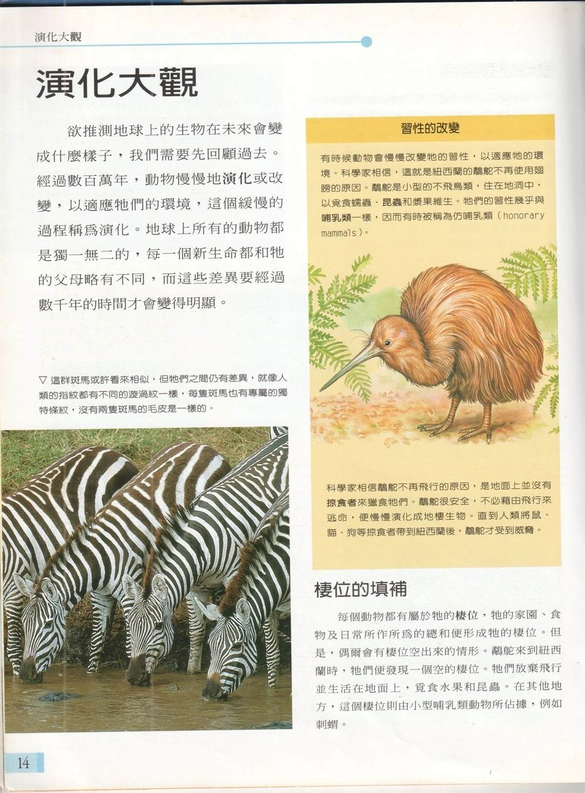 第1卷20