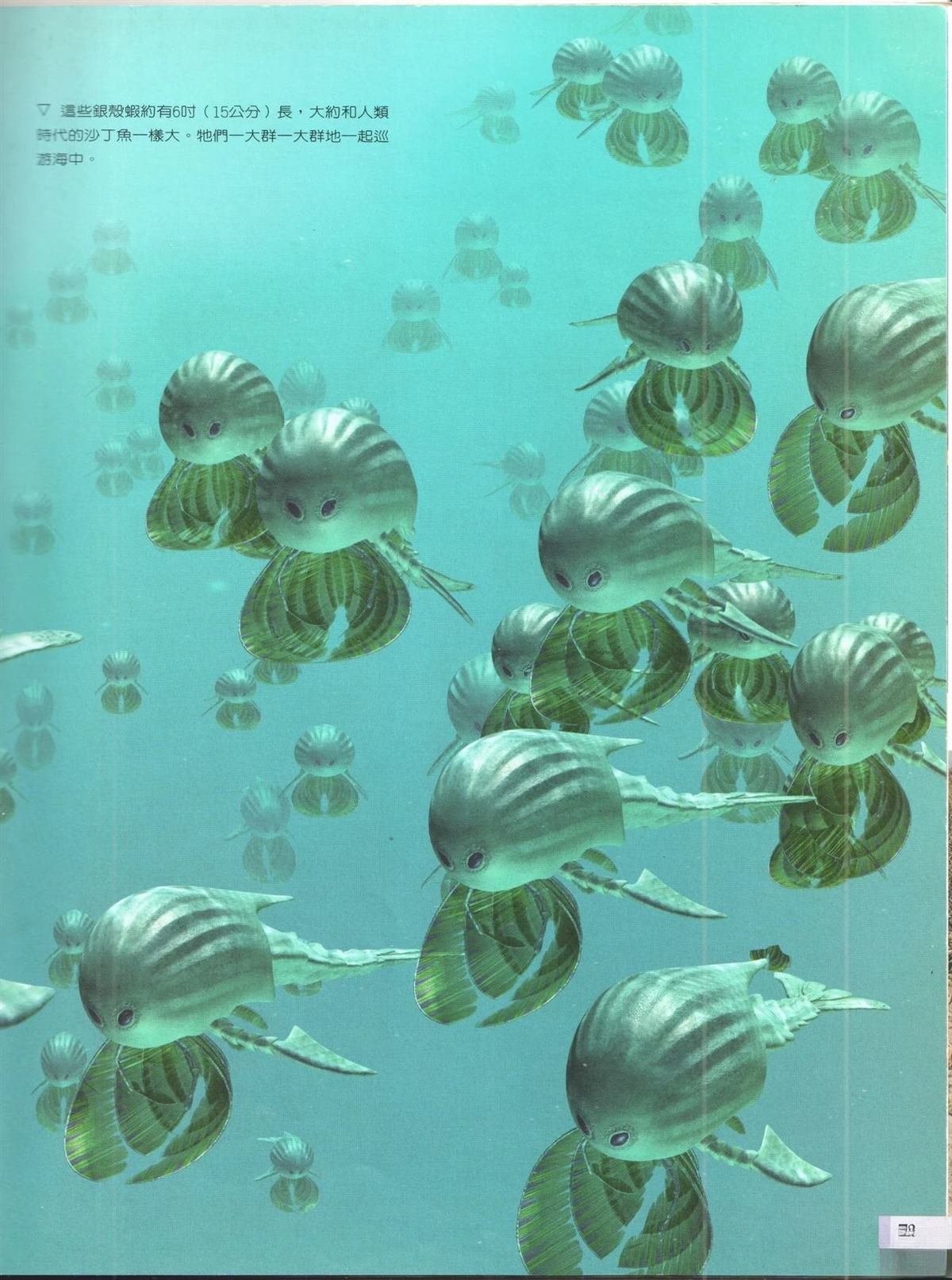 第1卷79