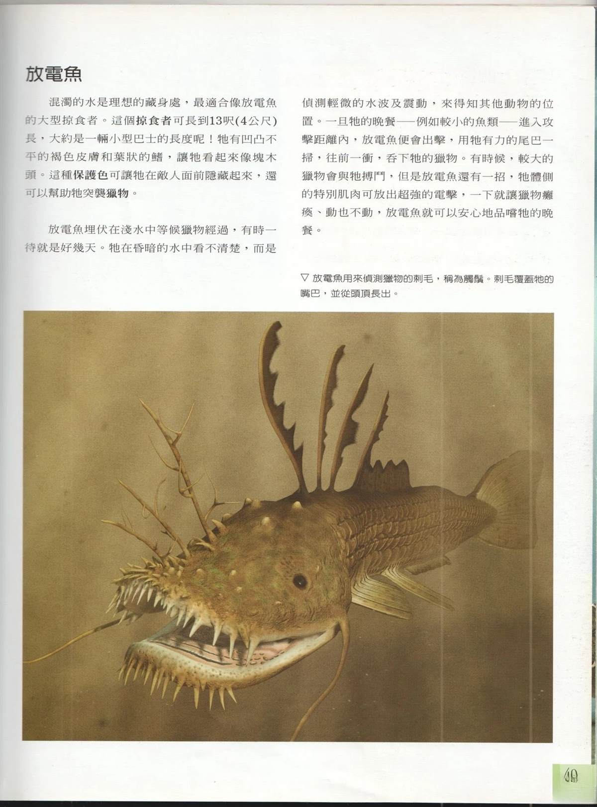 第1卷55