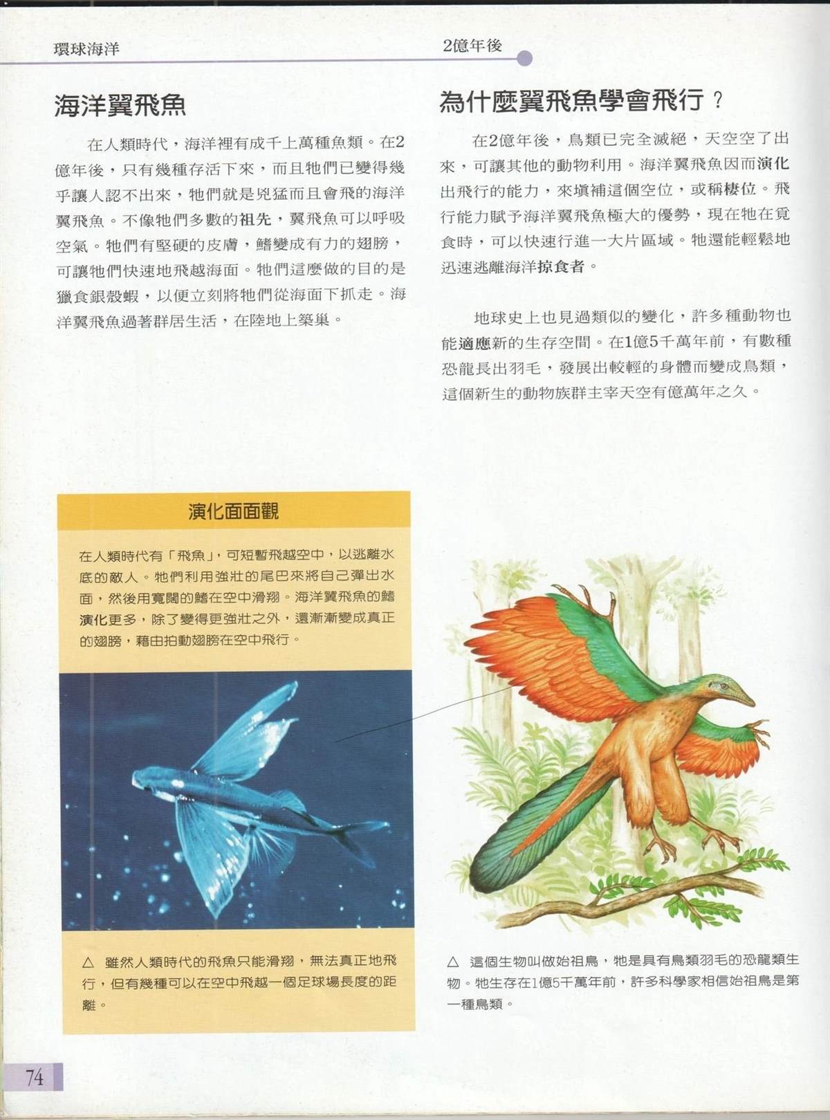 第1卷80
