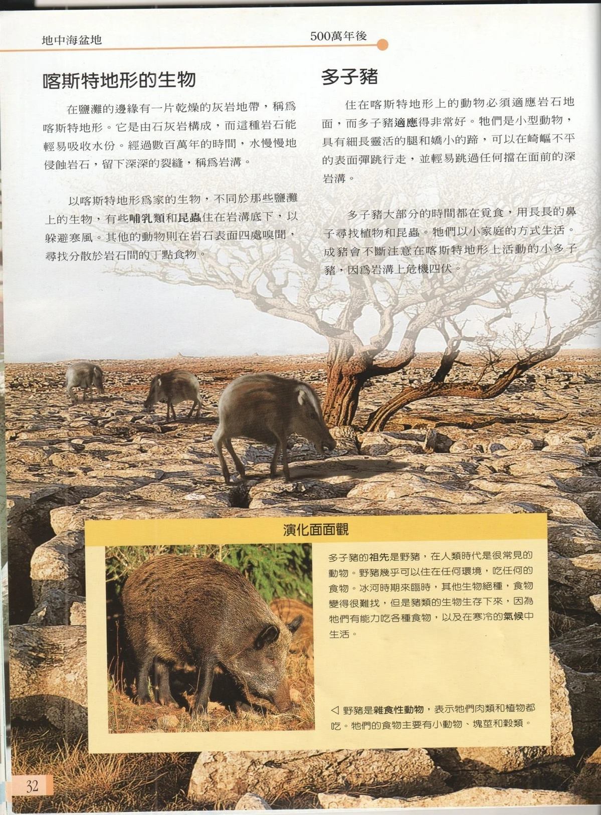 第1卷38