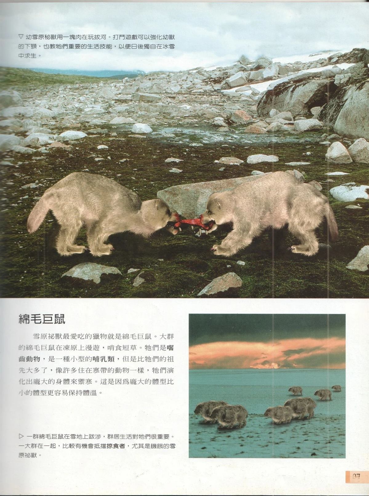 第1卷33