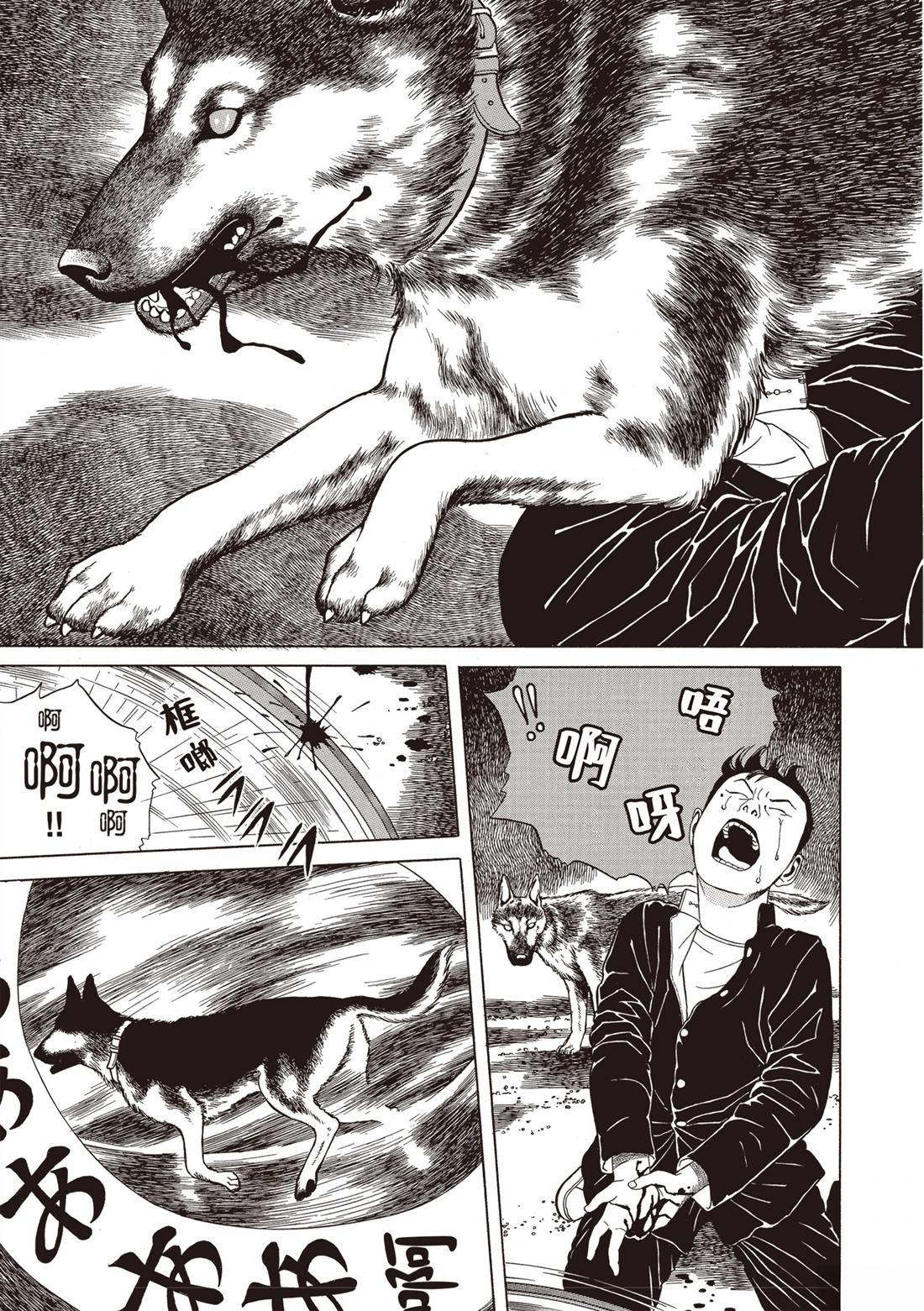 第1卷84