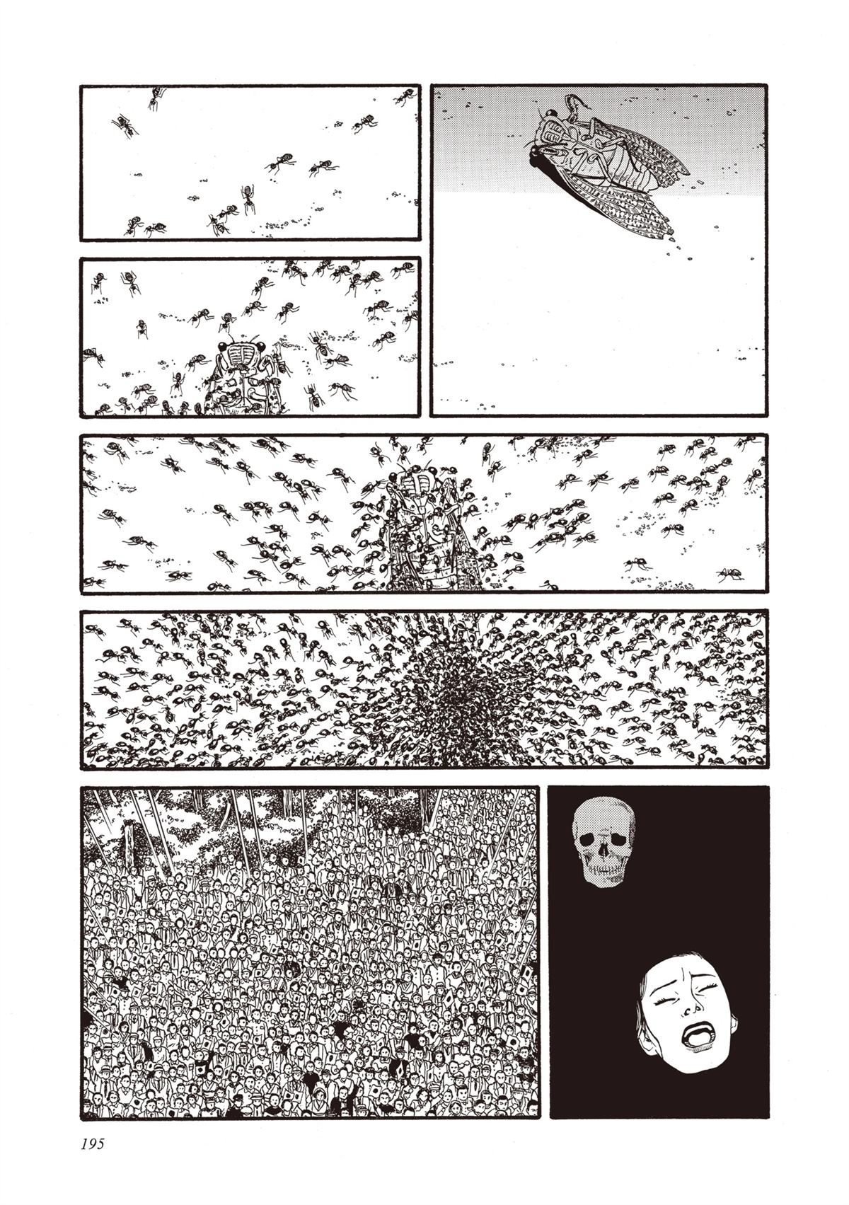 第1卷196