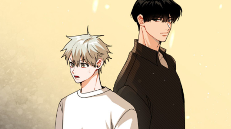 只接受完美结局