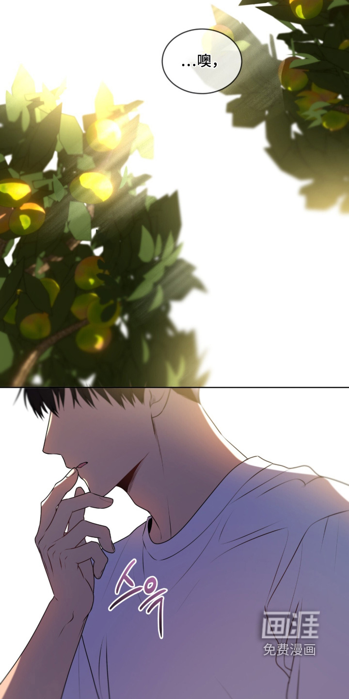 第223话21