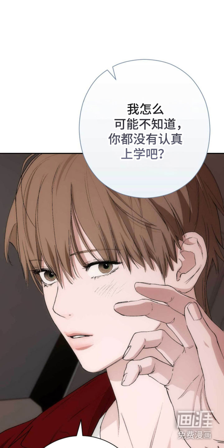 第102话13