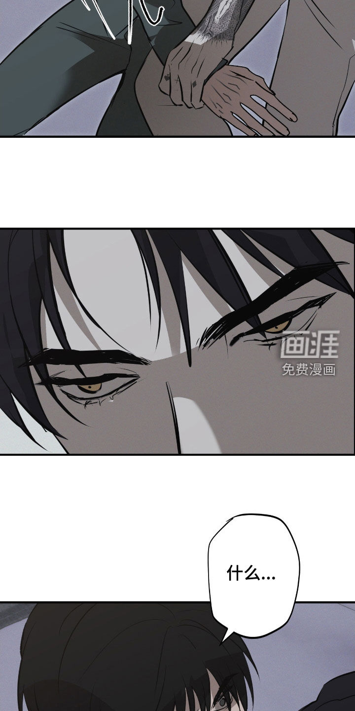 第79话8