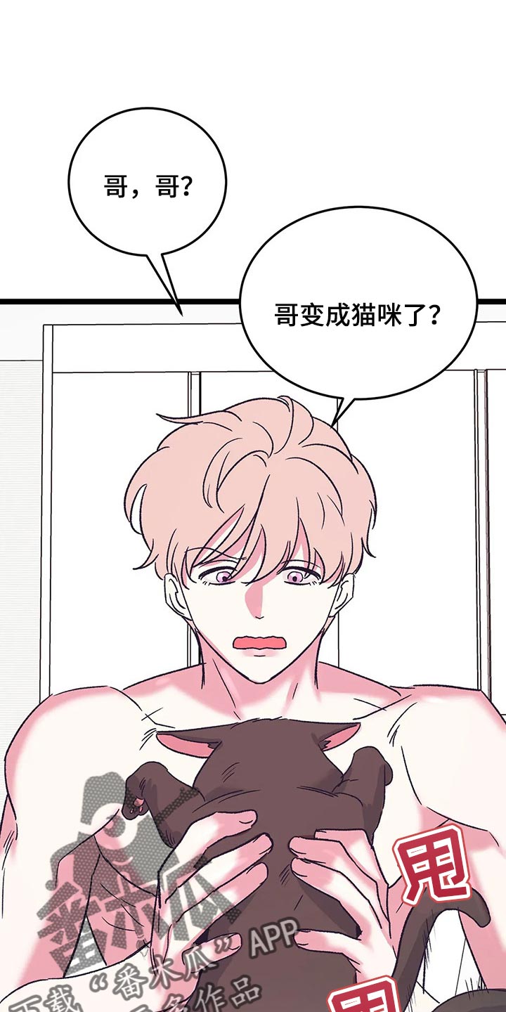 第56话0