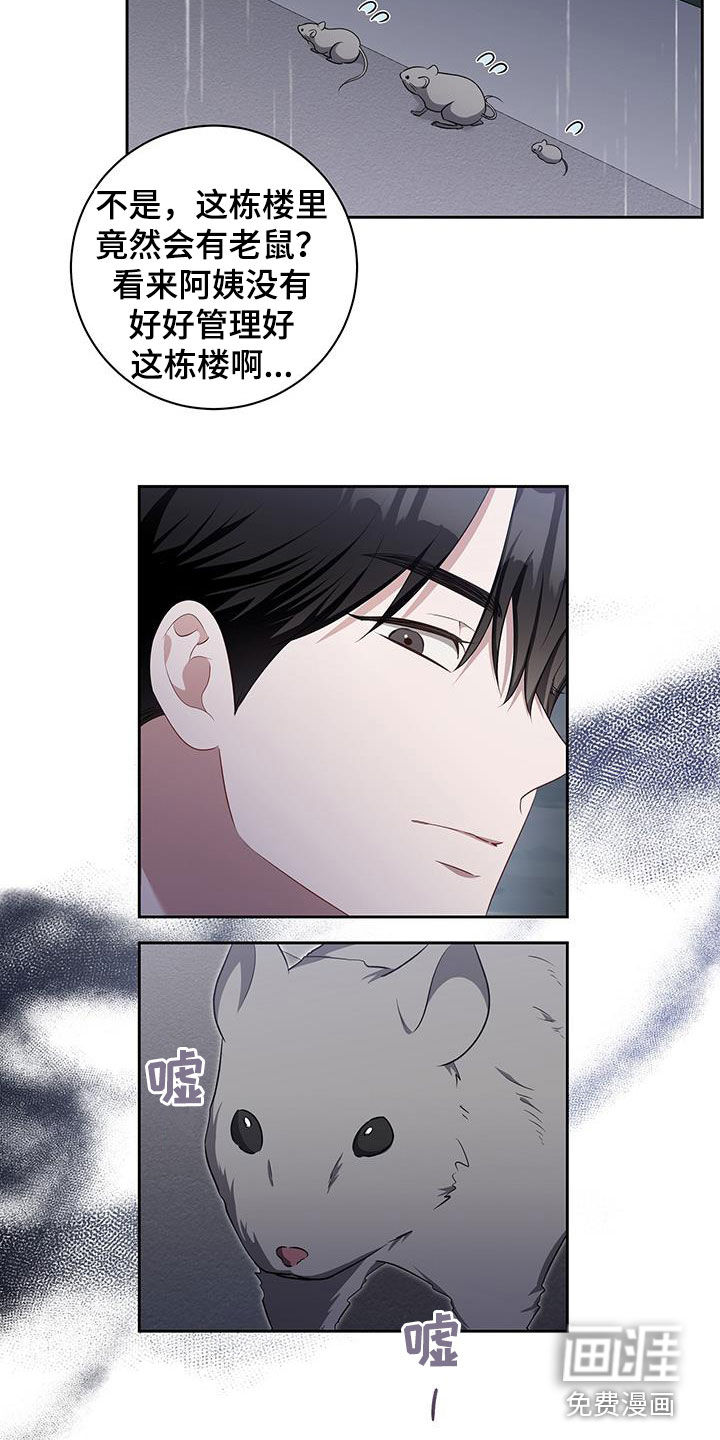 第49话16