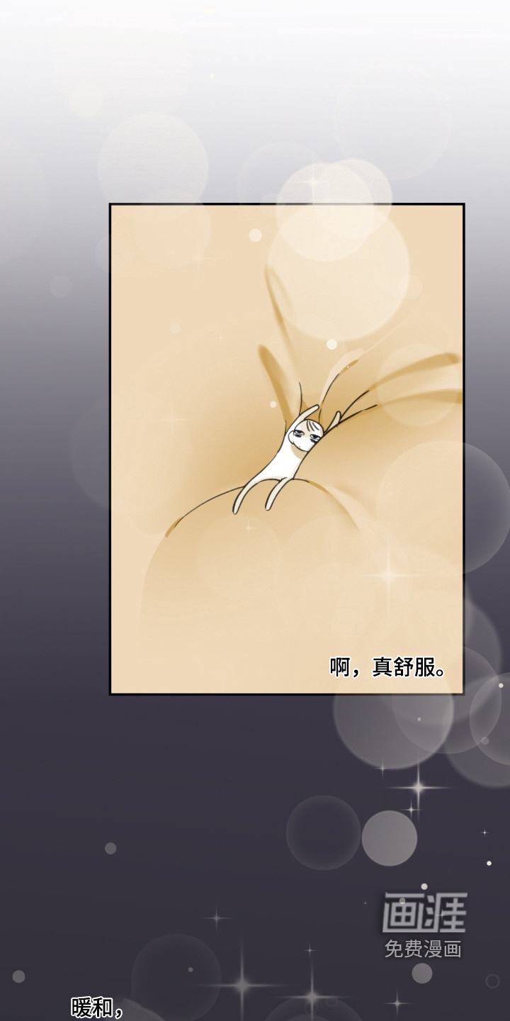第22话0