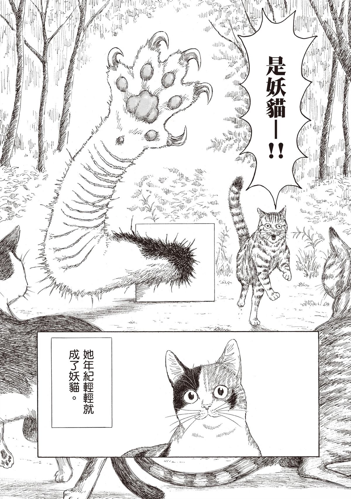 第1卷81